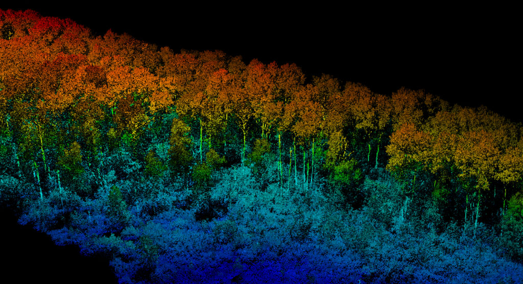 LiDAR-Trees-Image-from-UAV-1024x556